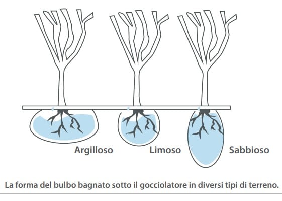 The shape of the water bulb under the dripper in different soil types