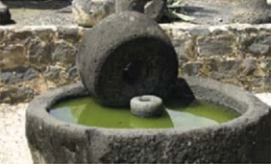 il valore dell'olio d'oliva nel mondo antico