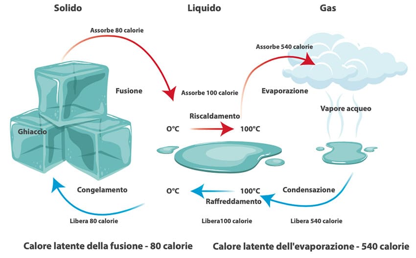 Il calore latente è il meccanismo di protezione che può salvare la tua coltura o il tuo vigneto dalla gelata
