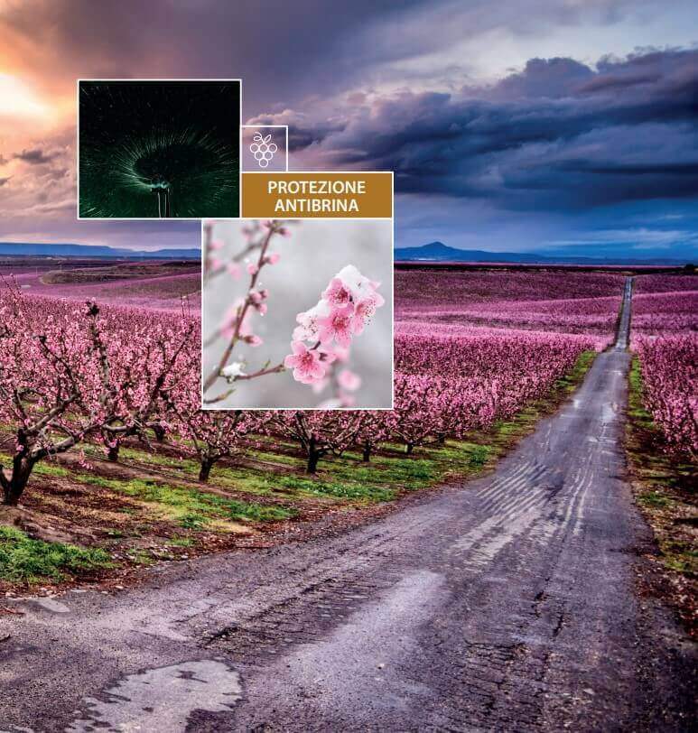 PROTEZIONE ANTIBRINA