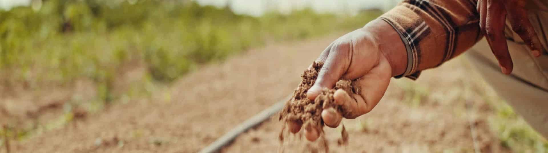 Il killer silenzioso dell’irrigazione a goccia